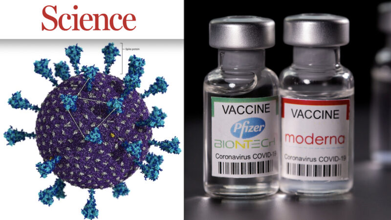 SCIENCE Journal: “COVID-19 Vaccines FAILURE!”. Spike Proteins Too Far Apart in SARS-Cov-2, Immune Cells Flop