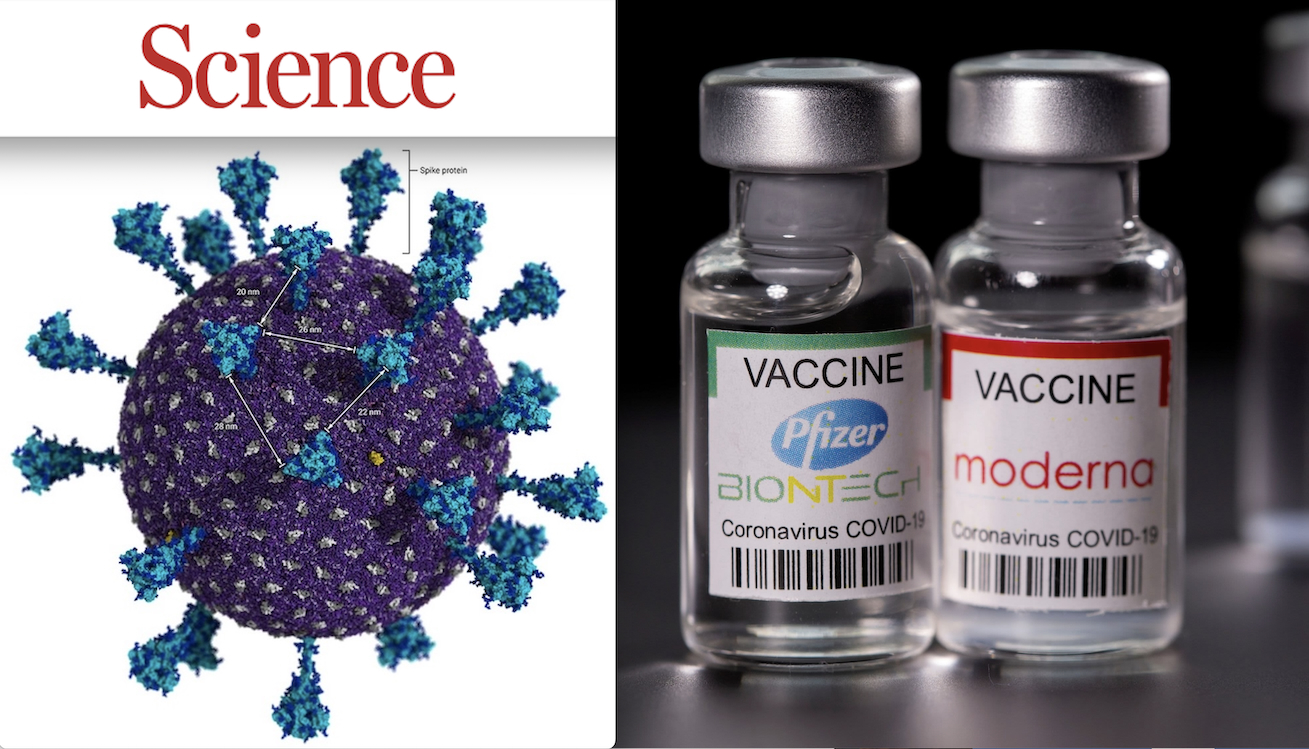 SCIENCE Journal: “COVID-19 Vaccines FAILURE!”. Spike Proteins Too Far Apart in SARS-Cov-2, Immune Cells Flop