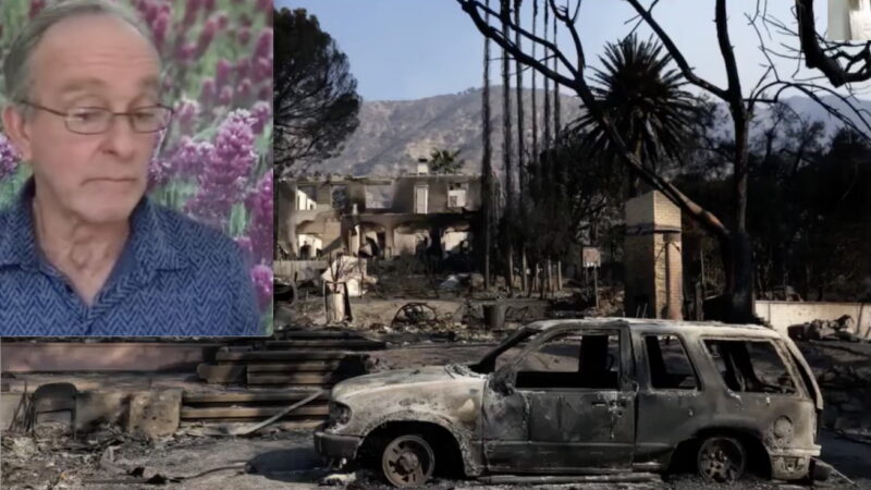 LOS ANGELES HELLFIRE: PLOT’s CLUES! HOUSES GONE but TREES STILL STANDING?! Forensic Arborist’s Suspicions (video)