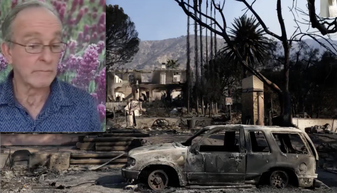 LOS ANGELES HELLFIRE: PLOT’s CLUES! HOUSES GONE but TREES STILL STANDING?! Forensic Arborist’s Suspicions (video)