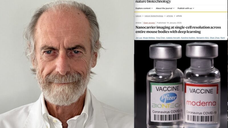 “mRNA VACCINES NANOPARTICLES KILL THE HEART” NATURE Study Confirms Biochemist Segalla’s Warnings Ignored by Italian Ministers and Magistrates