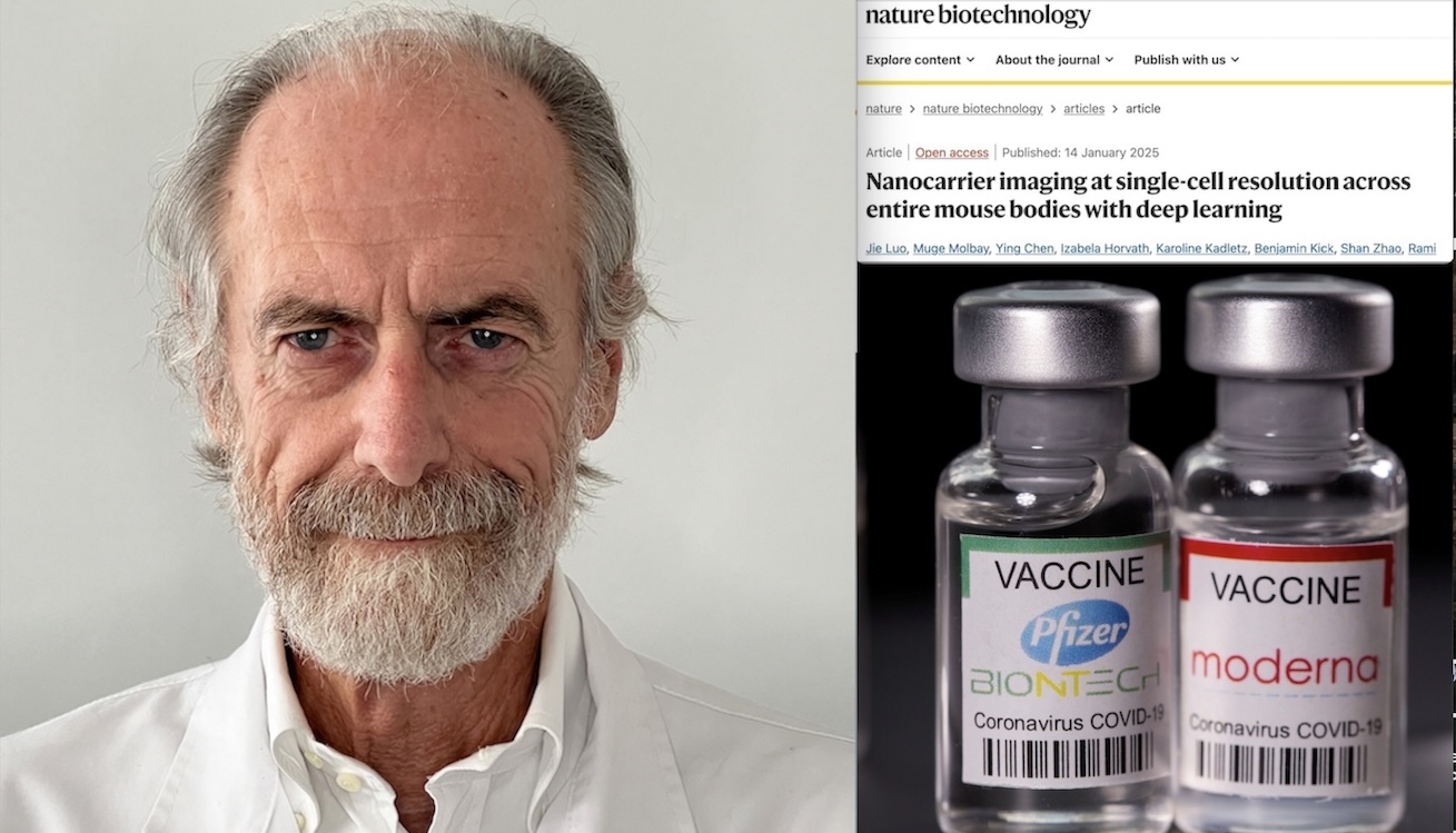 “mRNA VACCINES NANOPARTICLES KILL THE HEART” NATURE Study Confirms Biochemist Segalla’s Warnings Ignored by Italian Ministers and Magistrates