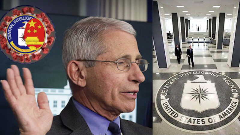 “NIH More Secretive than the CIA”. US Senator rips Fauci Testimony on Lab Leak Pandemic Virus