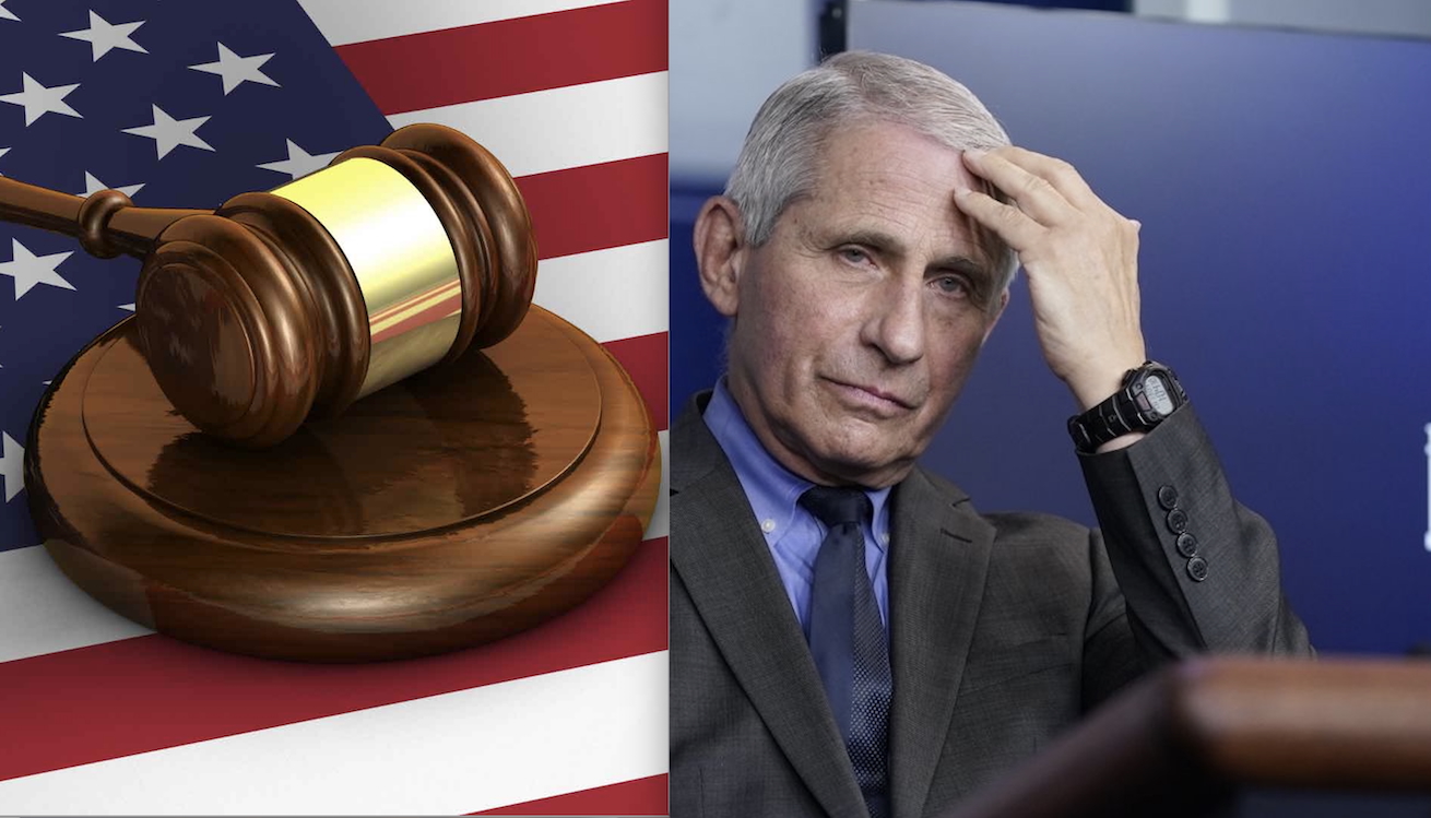 17 Attorneys General BLAME FAUCI among the Covid Pandemic’s MALIGN ACTORS. So they Contest his Pardon