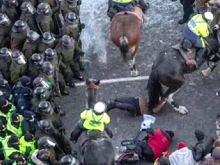 CANADA: POLIZIA COME BARBARI MEDIEVALI! (Video) Al Freedom Convoy Disabile con Girello Calpestata dai Cavalli