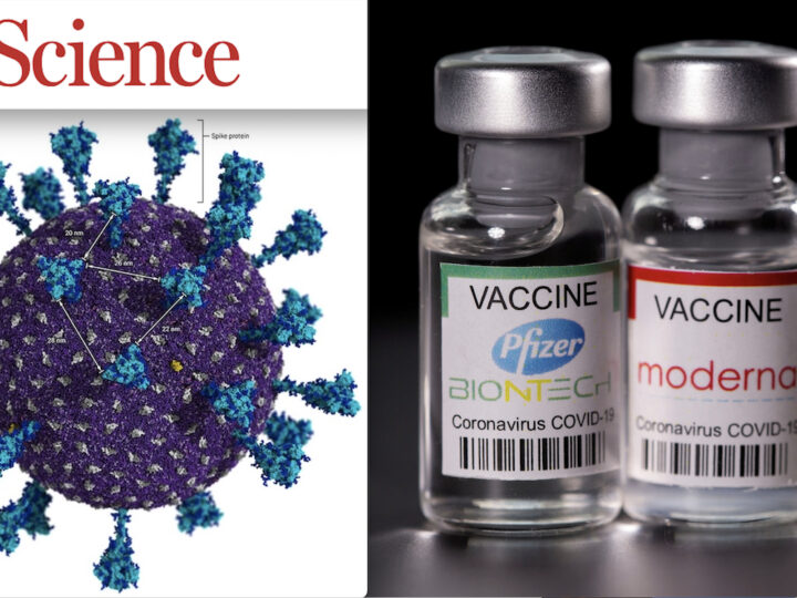 RIVISTA “SCIENCE” AMMETTE IL “FALLIMENTO” DEI VACCINI COVID. Proteine Spike troppo Distanti, Flop di Cellule Immunitarie