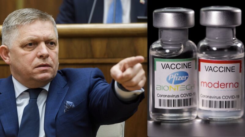 Clamoroso! SLOVACCHIA VERSO IL DIVIETO DEI VACCINI COVID. Commissione ne Contesta  “Sicurezza ed Efficacia”. “Pandemia è BioTerrorismo”