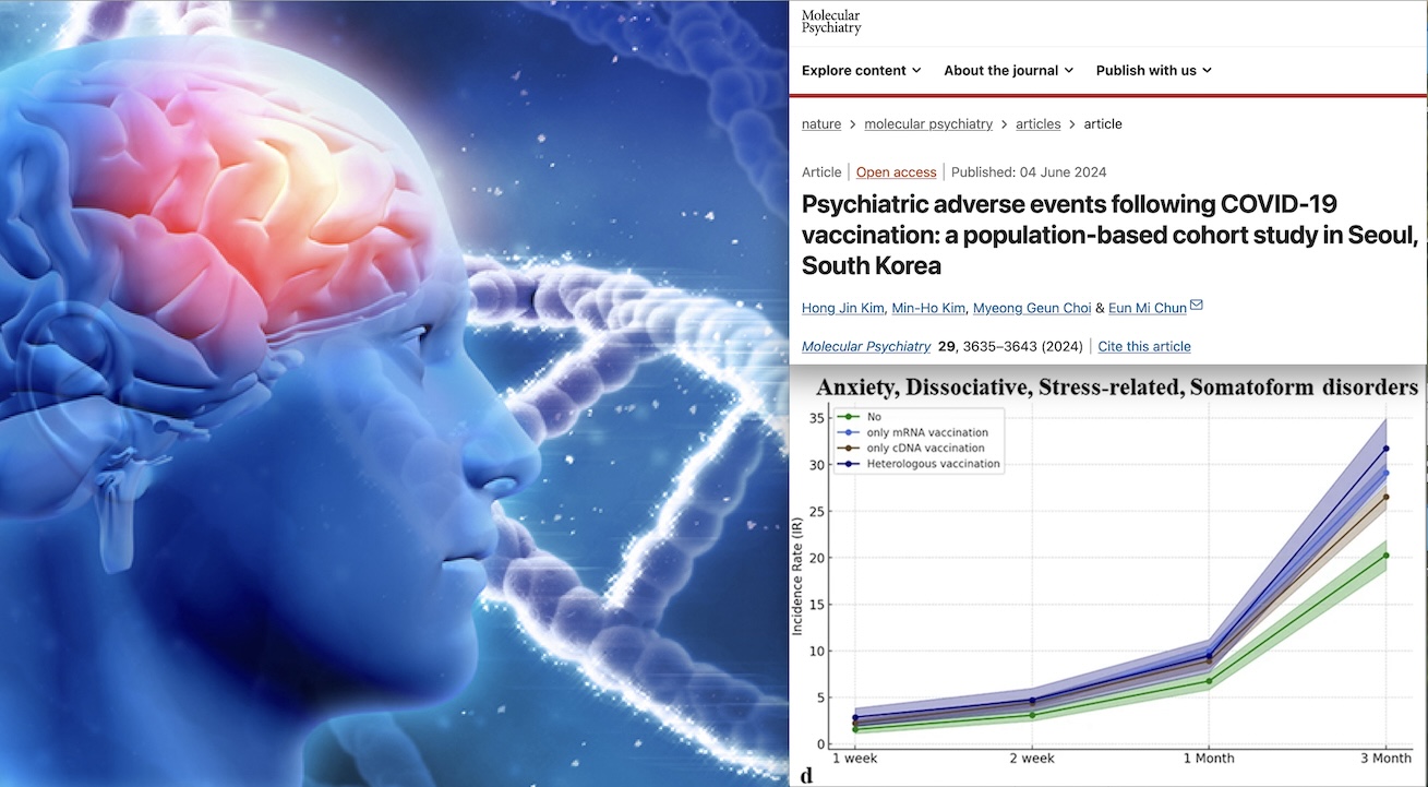 BOOM DI REAZIONI PSICHIATRICHE DOPO SIERI GENICI mRNA e cDNA. Inquietante Studio su Nature: “Sottovalutato Impatto dei Vaccini Covid sulla Salute Mentale”